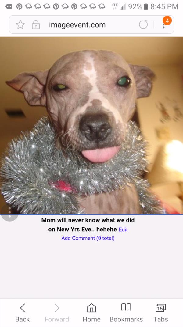 /images/uploads/griffin pond animal shelter/loveyourpet2018/entries/6542thumb.jpg